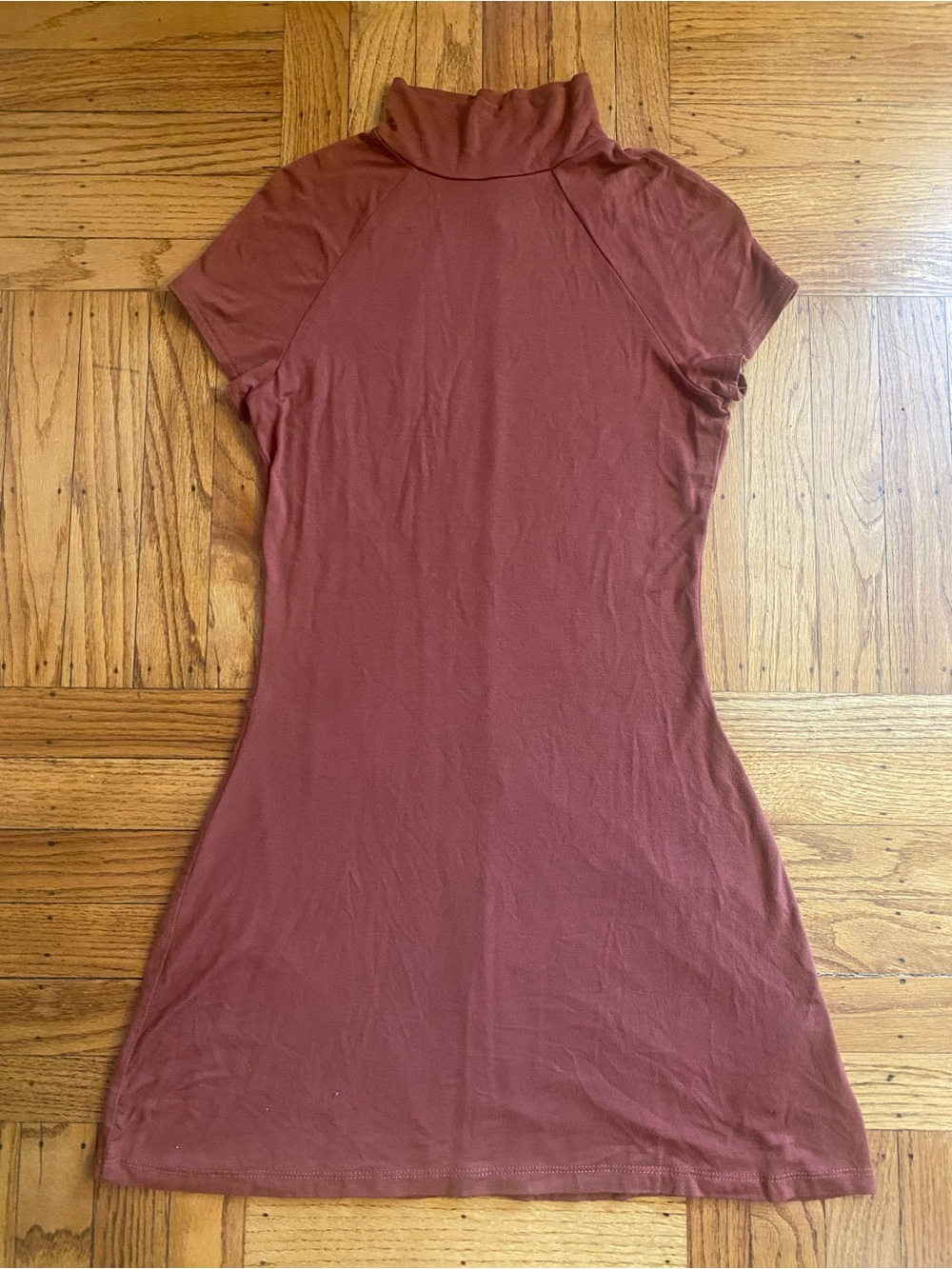 silence + noise Short Sleeve Turtleneck Mini Dress in Rust Brown